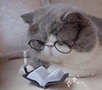 特别专题|比高考语文阅读还难理解的基金会项目信息