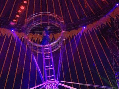 平湖免费景点推荐一下,平湖周边最近的动物园