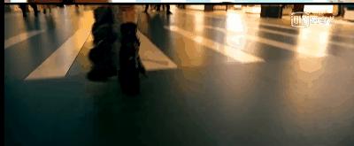 中秋国庆机票便宜旅游地区,国庆中秋澳门游