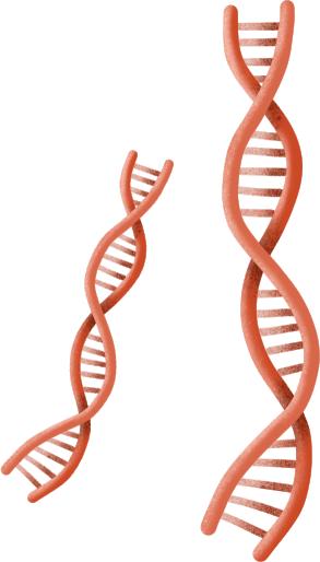 高血压糖尿病慢性病纳入报销,吉林省高血压糖尿病报销比例