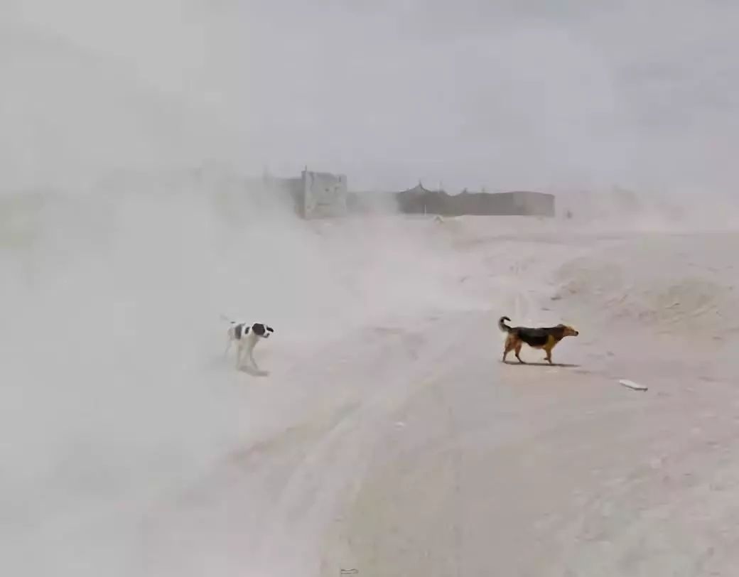 老公知道你的秘密他会怎么样,我的秘密他知道