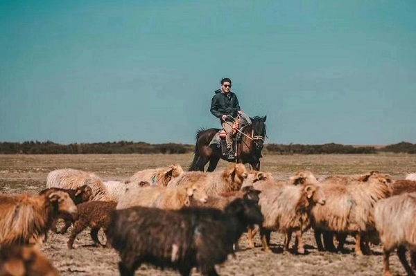 出境游自由行需要准备什么,出境游减少