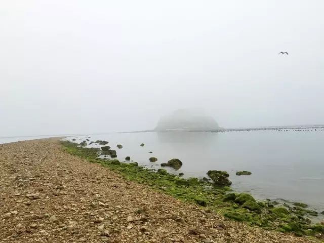 大连开海后的海鲜,开海了吃海鲜去哪个码头最便宜