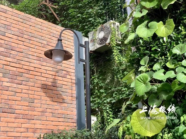 TA藏在静安，可能是市中心最袖珍公园，重温老上海的儿时记忆