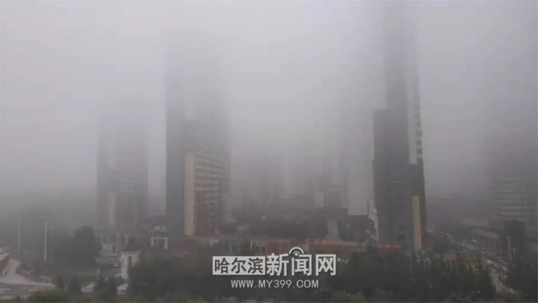 哈尔滨风景好的大公园推荐,哈尔滨松北区哪个公园好看