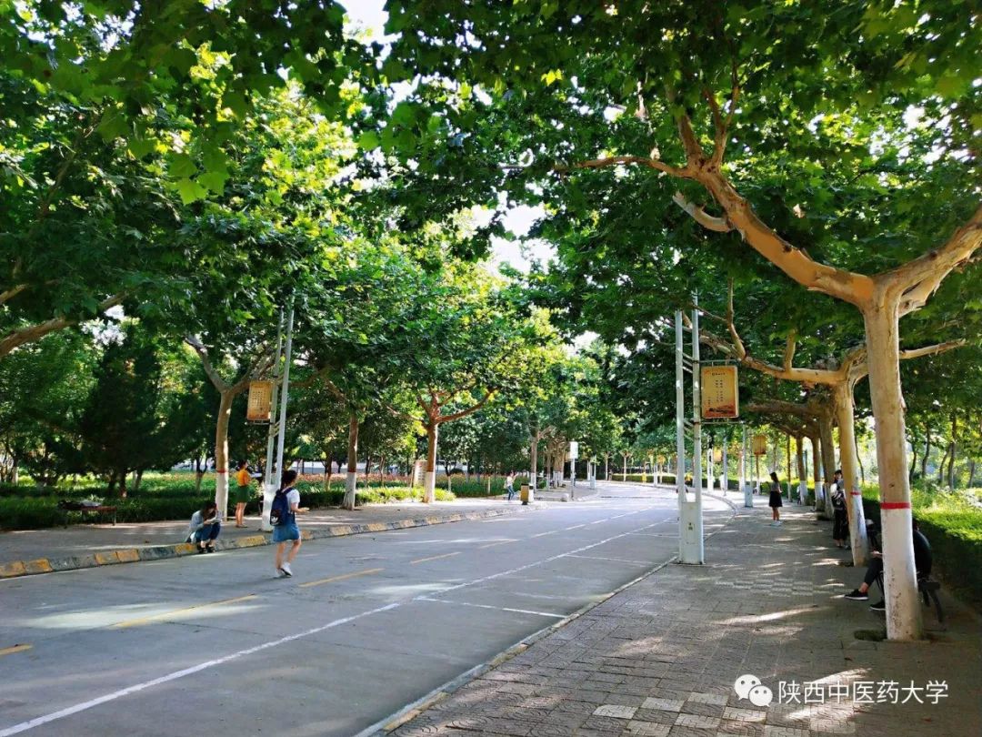 2019级萌新快看，报到流程轻松拿下