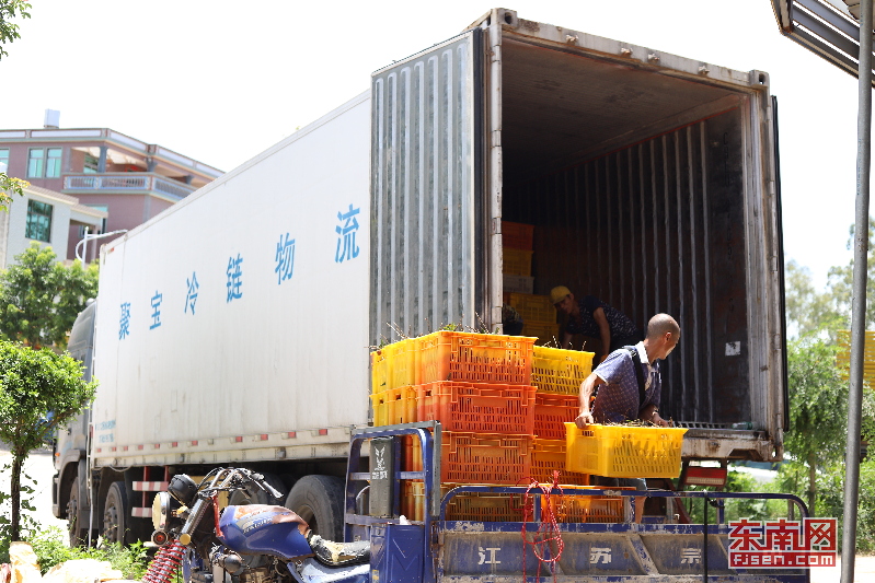 诏安农产品电商物流园,诏安农村电商