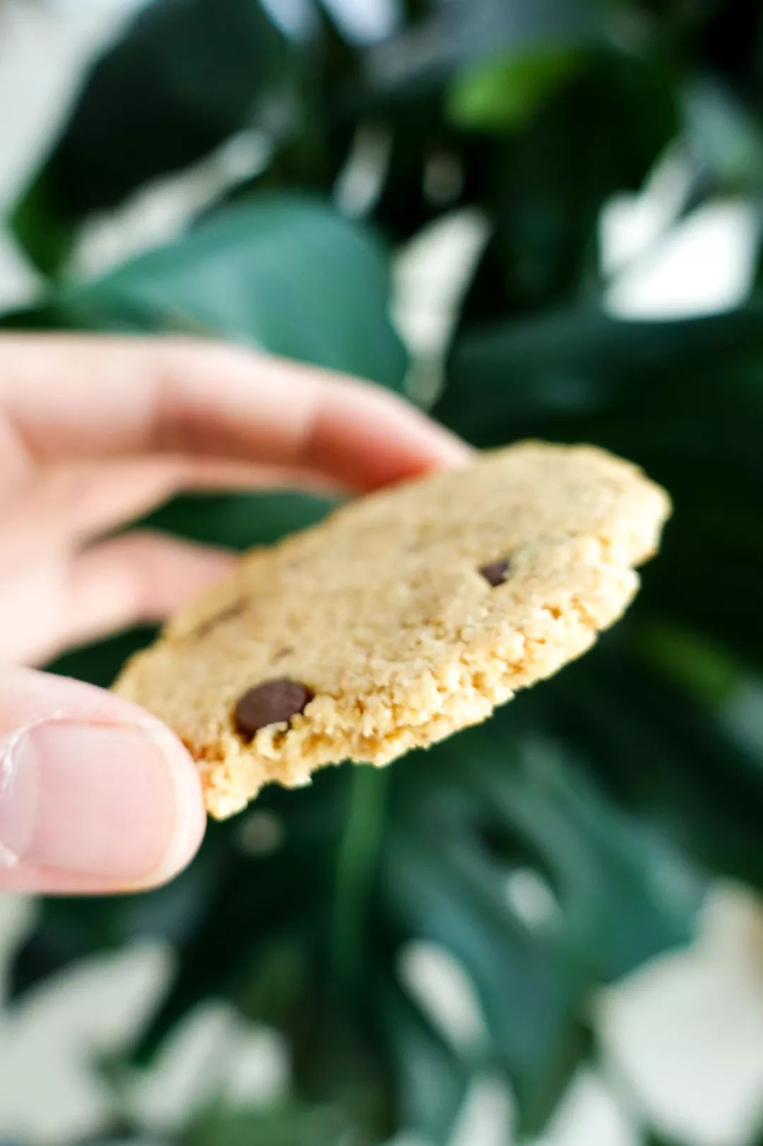 骞哥涔︾睄鎺ㄨ崘涔﹀崟,骞哥璇荤墿