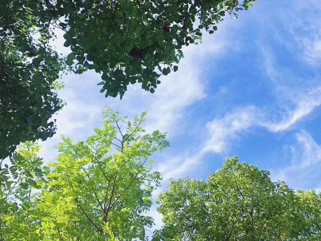 大连和苏州哪个更宜居,苏州杭州气候哪个宜居