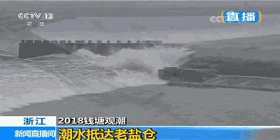 比去年大!八月十八钱塘江大潮来了!这份最全观潮攻略请收好