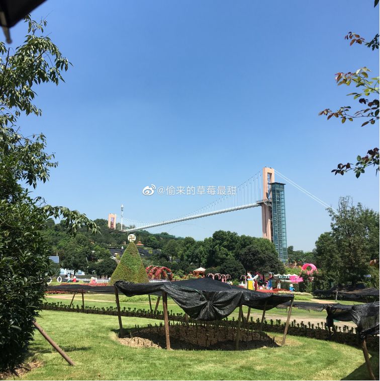 成都周边最好的玻璃栈道的景区,成都附近哪个景区有玻璃栈道