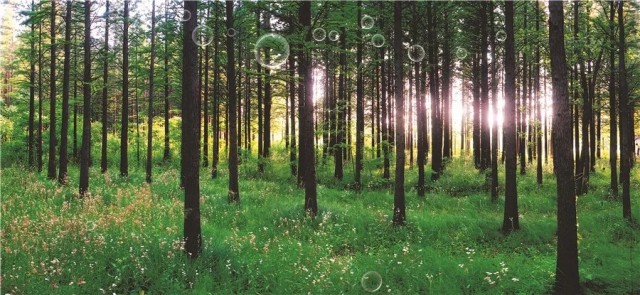 日照春天最值得游玩的地方,日照最新游玩攻略导图