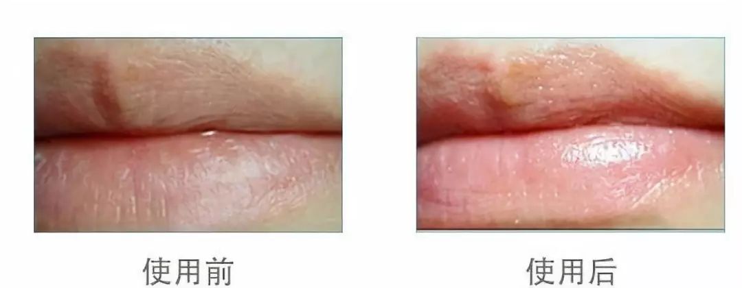 便宜大碗！114年德国老牌，拯救秋冬小糙手