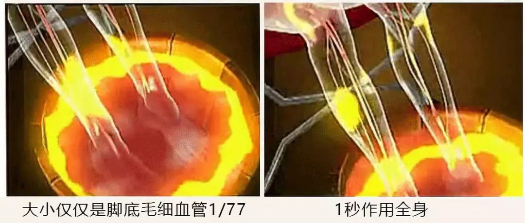 用它泡脚能赶走5种病,一个泡脚小药方赶走多种病