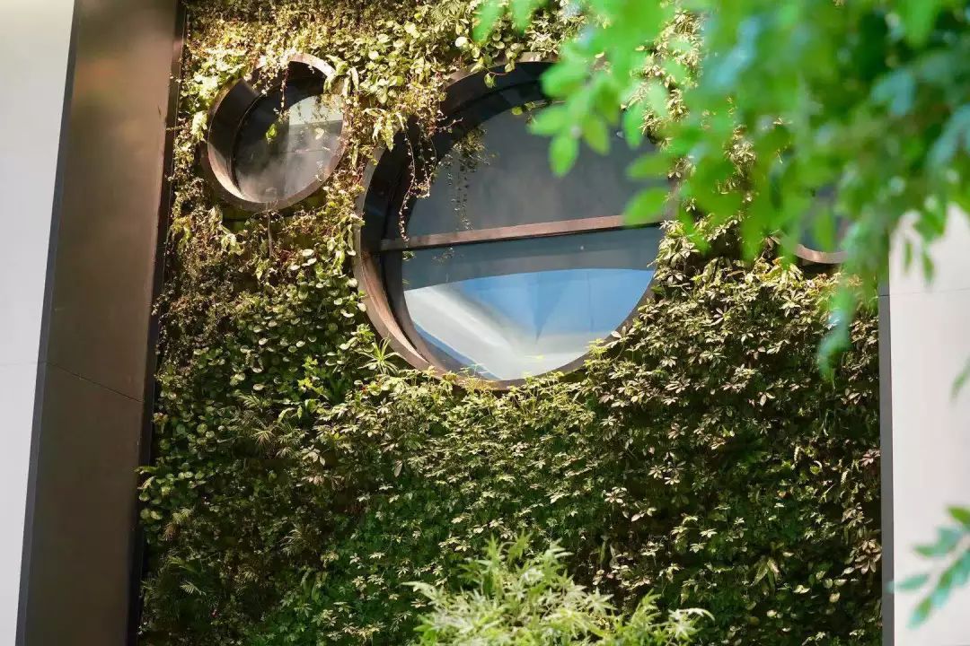 省政府点名表扬,被省卫健委通报批评后果