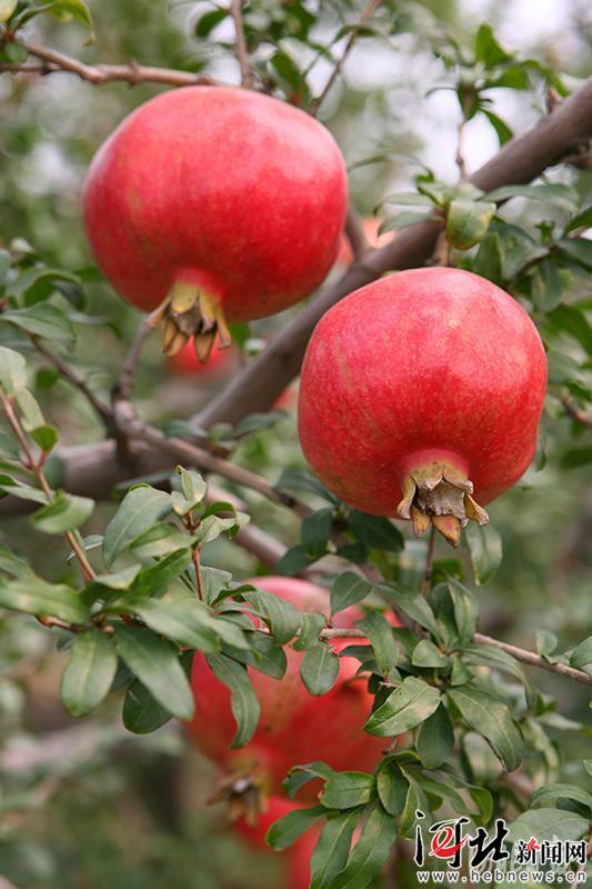 大河之北完整版视频,大河之北原唱完整版