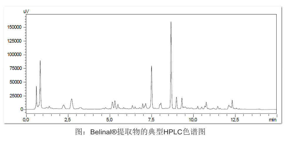 深度|欧洲白杉对皮肤健康及促进胶原蛋白的作用