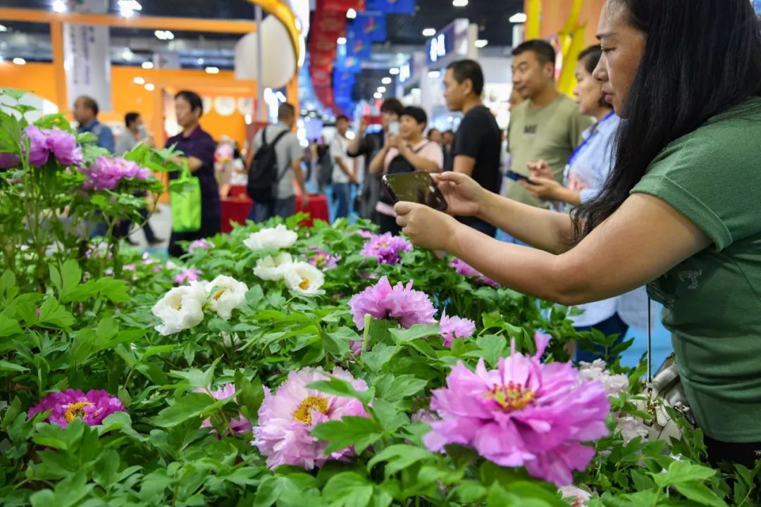 洛阳必打卡,洛阳值得去打卡的地方