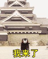 去哪网儿评出2020最热门的旅游城市，有你家吗？