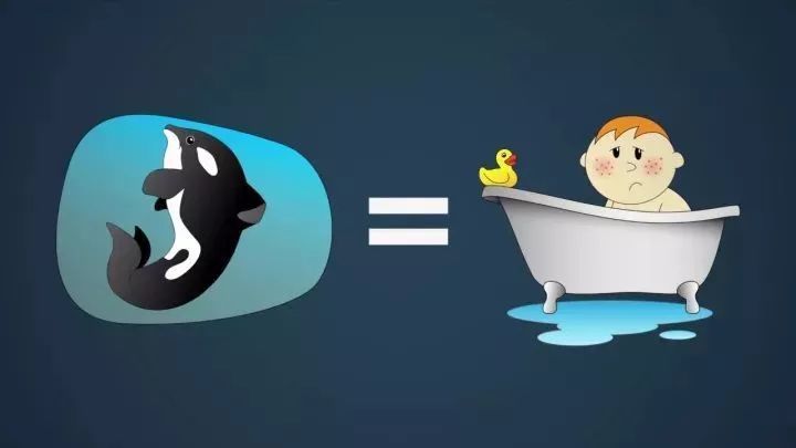 马戏团老虎逃脱后死亡,马戏团老虎脱逃最新结果