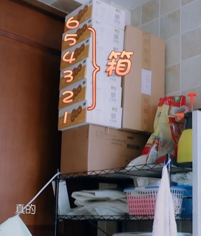 明星夫妻甜蜜日常,明星夫妻甜蜜日常综艺节目介绍