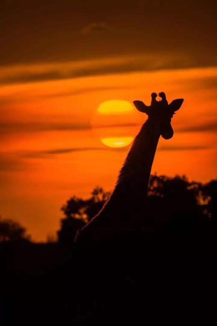 鍧︽灏间簹涓庡ぇ鑷劧,鍧︽灏间簹鑷劧椋庡厜鐪熺編