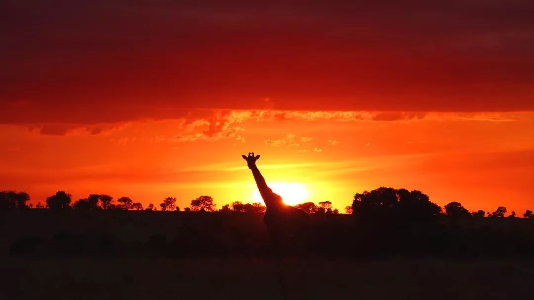鍧︽灏间簹涓庡ぇ鑷劧,鍧︽灏间簹鑷劧椋庡厜鐪熺編
