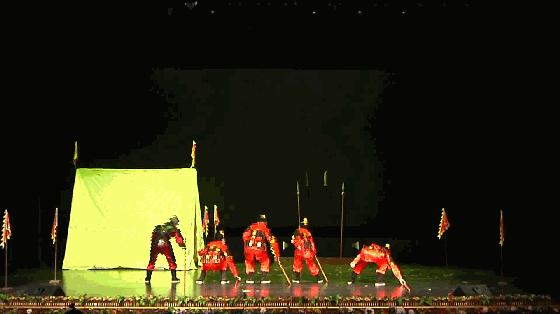 十一国庆节动物王国表演时间表,假期动物世界表演