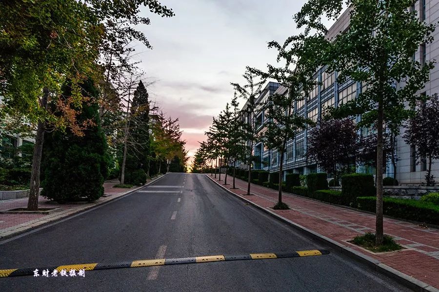 东财大学校园生活,东财校园实景图