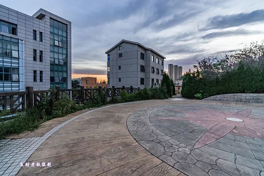 东财大学校园生活,东财校园实景图