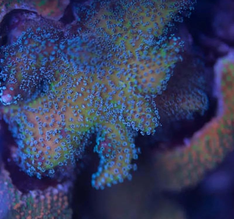 1.2米的缸需要多少沙,1.2米缸改造