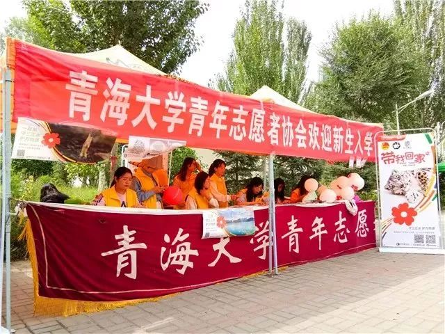 阿拉善see公益在哪,感谢爱心人士及企业的大力支持