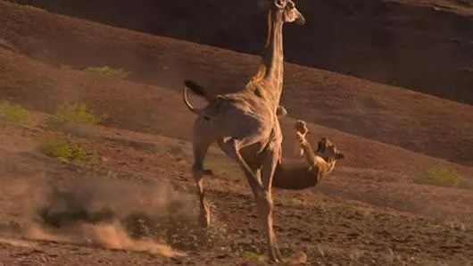 顷波周末活动大放送︱周五免费观影+周六免费英文课