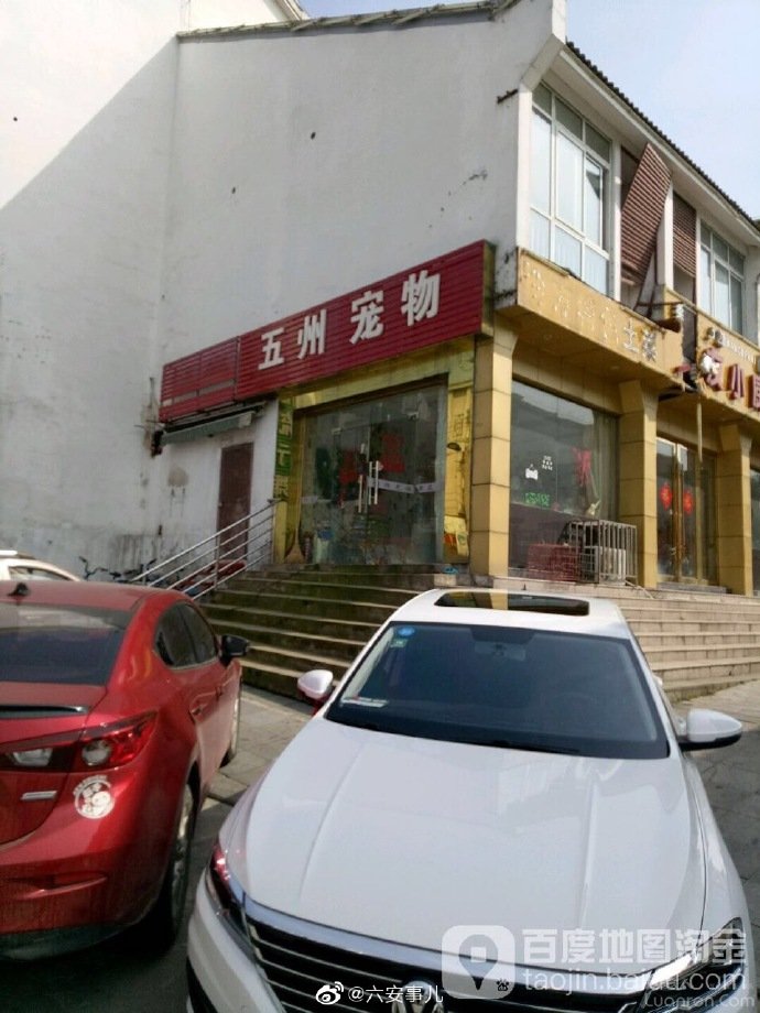 怎么看一家宠物店正不正规,怎么看宠物店有没有坑你