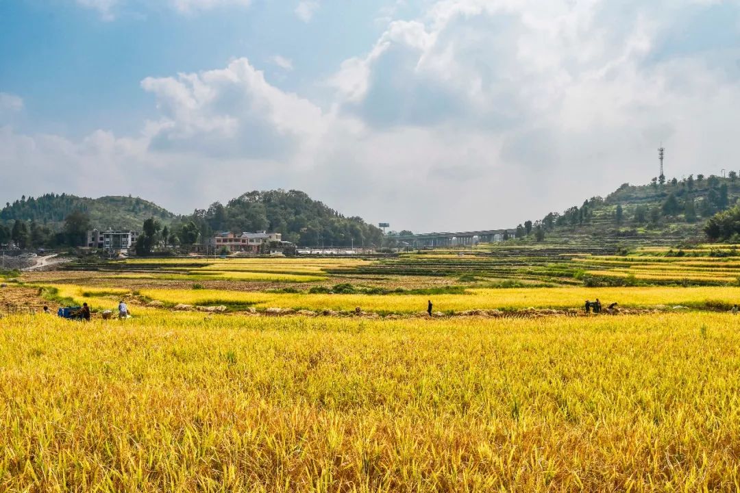 周末陪家人游大自然,周末陪家人到郊外游玩