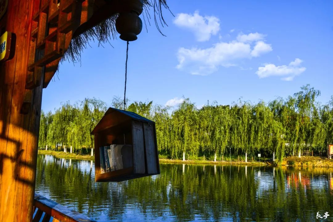 周末陪家人游大自然,周末陪家人到郊外游玩