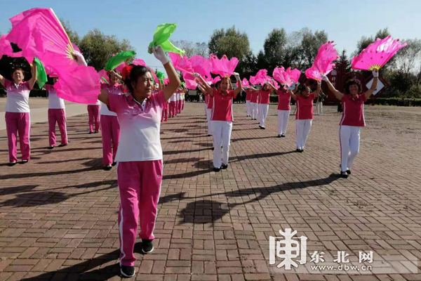 “丰收时节看发展”通河县桦树村:美丽乡村点点滴滴入画来