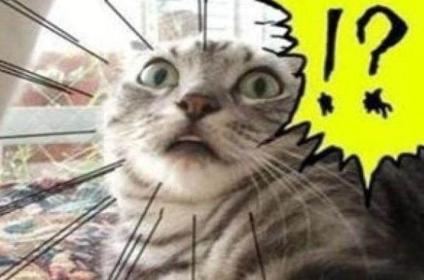 福建人当心!很多人倾家荡产!大*局骗**崩盘!冻结资金逾1.2亿元!8人被抓