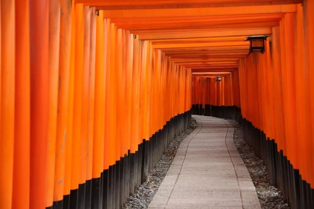 游览日本京都神社,日本旅行神社