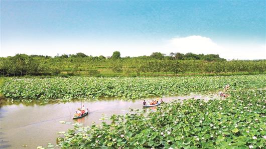 滨江新城的变化,滨江巨变