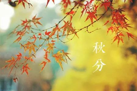 中国农民丰收节秋分节气同一天,二十四节气秋分也是农民丰收节