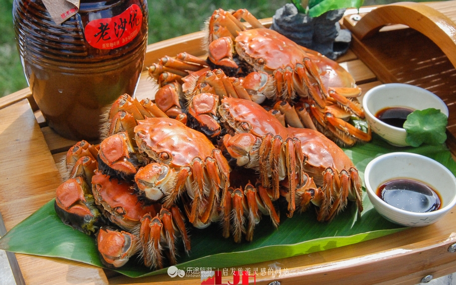 又到菊黄蟹肥时，无锡太湖鼋头渚渔家风情节上演