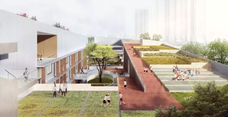 石厦学校小学以前的样子,石厦小学资料