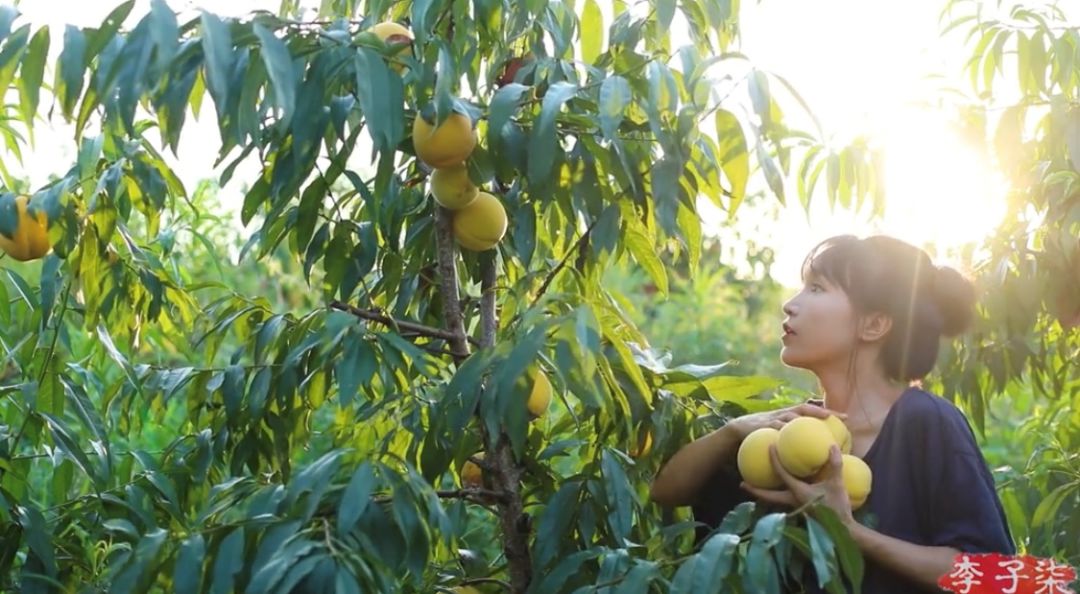 李佳琦浪胃仙小团团,李佳琦浪胃仙抖音