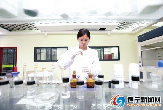 遂宁跨越,遂宁经开区产业园