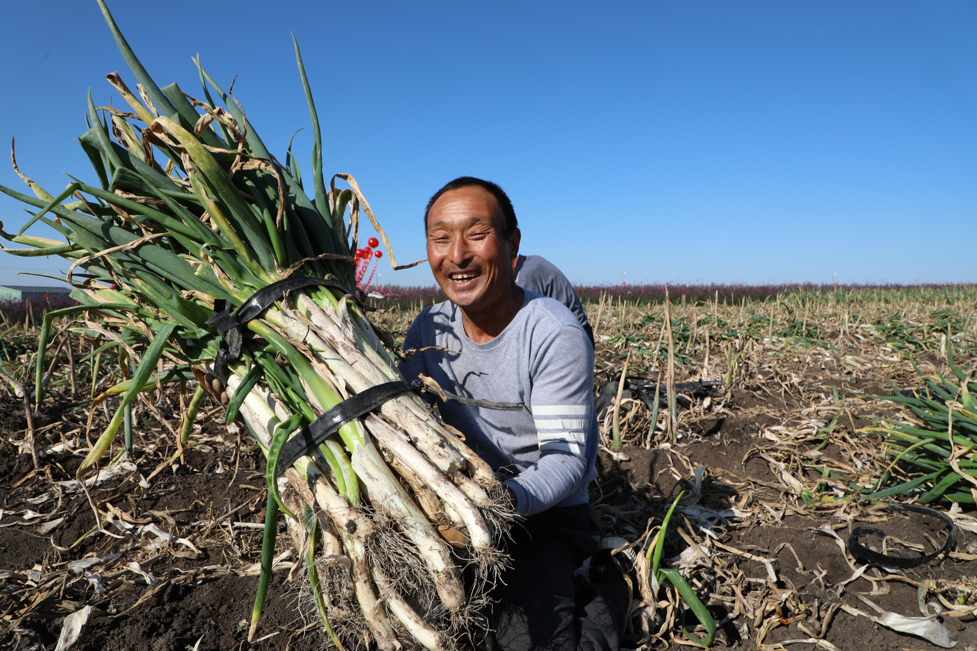 黑龙江省首届农民丰收节主会场,黑龙江农民丰收节开幕式