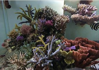 1.5米的大缸,1.5米大缸溪流造景