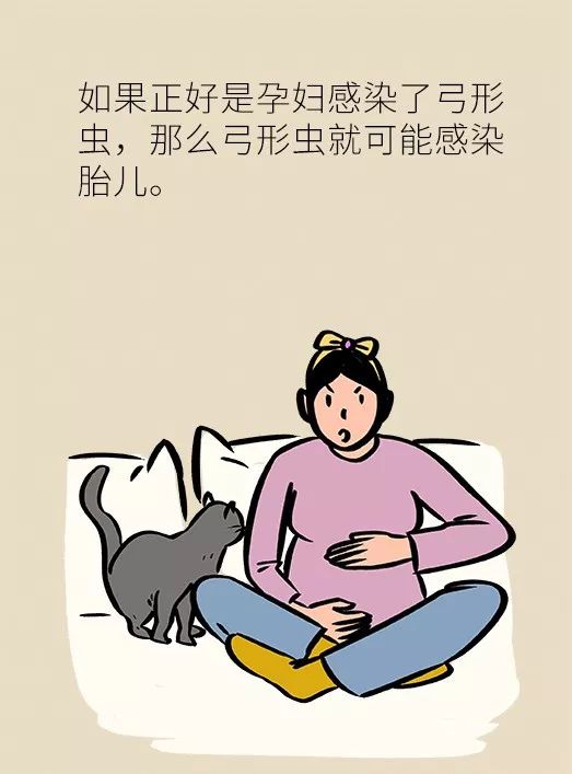 怀孕了家里有猫狗还可以继续养吗,家里一直有猫狗怀孕了怎么办