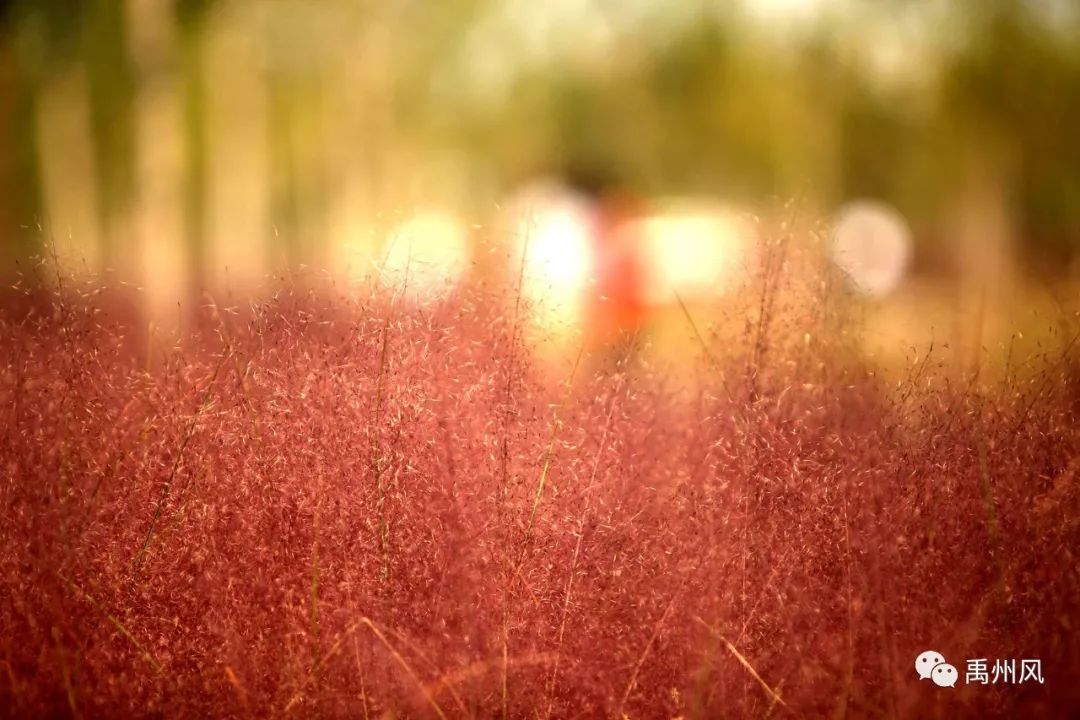 高铁新城给城市带来什么利好,禹州高铁新城有潜力吗