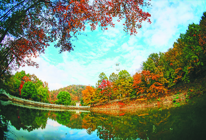 巢湖生态公园,巢湖国家级湿地公园